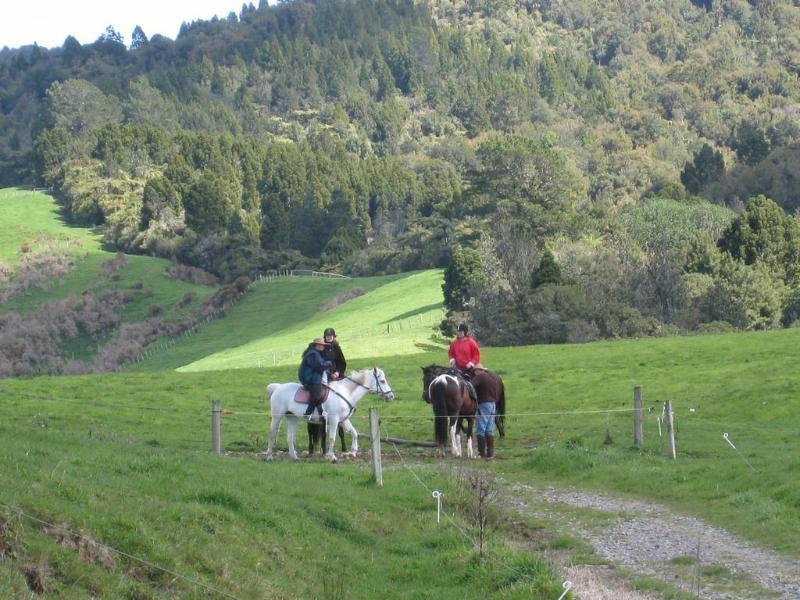 Kaimai Country Lodge Katikati Esterno foto